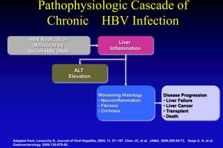 Pathophysiologic Cascade of
Chronic HBV Infection
HBV Replication
(Measured by
Serum HBV DNA)
Liver
Inflammation
Worsening Histology
• Necroinflammation
• Fibrosis
• Cirrhosis
Disease Progression
• Liver Failure
• Liver Cancer
• Transplant
• Death
Adapted from: Lavanchy D. Journal of Viral Hepatitis, 2004, 11, 97–107. Chen JC, et al. JAMA. 2006;295:65-73. Iloeje U. H, et al.
Gastroenterology. 2006;130:678-86.
ALT
Elevation
 