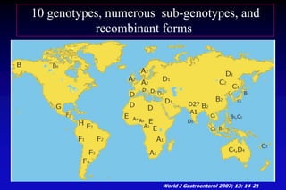 10 genotypes, numerous sub-genotypes, and
recombinant forms
World J Gastroenterol 2007; 13: 14-21
B6
D1
 