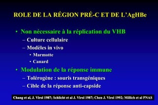 ROLE DE LA RÉGION PRÉ-C ET DE L’AgHBe
• Non nécessaire à la réplication du VHB
– Culture cellulaire
– Modèles in vivo
• Marmotte
• Canard
• Modulation de la réponse immune
– Tolérogène : souris transgéniques
– Cible de la réponse anti-capside
Chang et al, J. Virol 1987; Schlicht et al J. Virol 1987; Chen J. Virol 1992; Millich et al PNAS
 