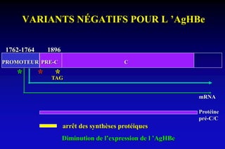 VARIANTS NÉGATIFS POUR L ’AgHBe
mRNA
Protéine
pré-C/C
PRE-C CPROMOTEUR
TAG
***
1762-1764 1896
arrêt des synthèses protéiques
Diminution de l’expression de l ’AgHBe
 