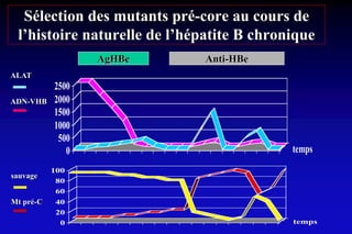 Sélection des mutants pré-core au cours de
l’histoire naturelle de l’hépatite B chronique
0
500
1000
1500
2000
2500
temps
ALAT
ADN-VHB
AgHBe Anti-HBe
0
20
40
60
80
100
temps
sauvage
Mt pré-C
 