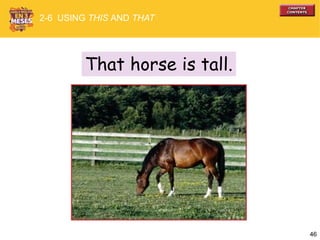 46
That horse is tall.
2-6 USING THIS AND THAT
 