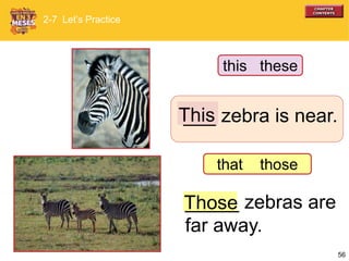 56
___ zebra is near.
_____ zebras are
far away.
Those
This
2-7 Let’s Practice
that those
this these
 