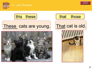 57
_____ cats are young.These ___ cat is old.That
2-7 Let’s Practice
this these that those
 