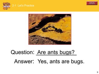 9
Are ants bugs?Question: ____________
2-1 Let’s Practice
Answer: Yes, ants are bugs.
 