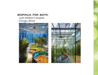 biophilia for both:
Lurie Children’s Hospital
Chicago, Illinois
 