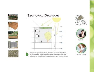 The atrium spans three ﬂoors, from the second to the oﬃces
on the third and fourth, where staﬀ can overlook it from the
balconies on those levels. This allows more light into the atrium.
Patients
Nurses & Staﬀ
Sectional Diagram:
 