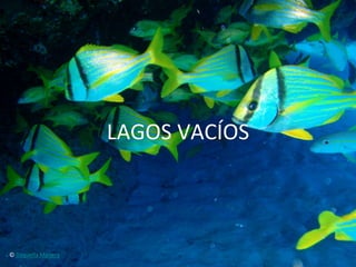 LAGOS	
  VACÍOS	
  



©	
  Daquella	
  Manera	
  
 