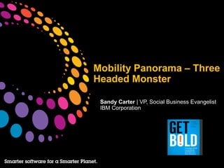 Mobility Panorama – Three
Headed Monster

 Sandy Carter | VP, Social Business Evangelist
 IBM Corporation
 
