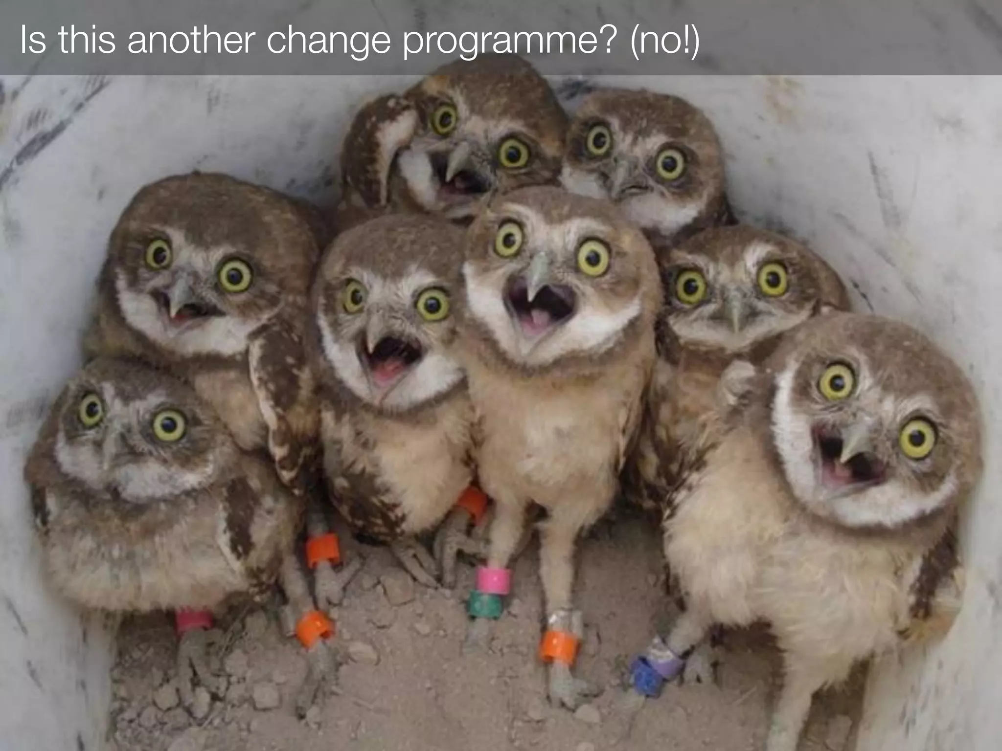 Is this another change programme? (no!)
 