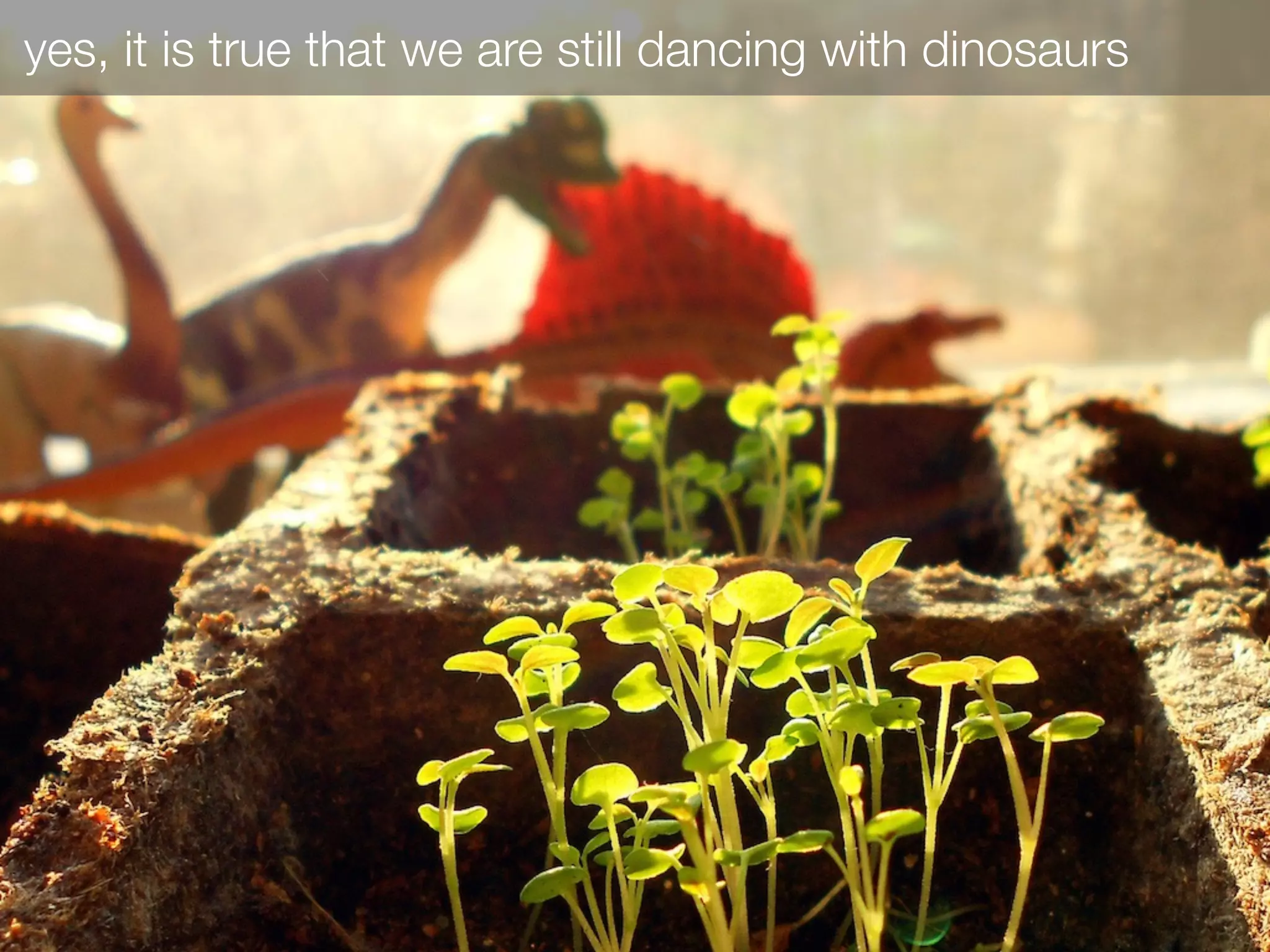 yes, it is true that we are still dancing with dinosaurs
 