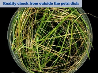 Reality check from outside the petri dish
 