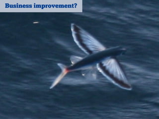 Business improvement?
 