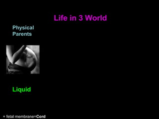 Life in 3 World
+ fetal membrane=Cord
Liquid
Physical
Parents
 