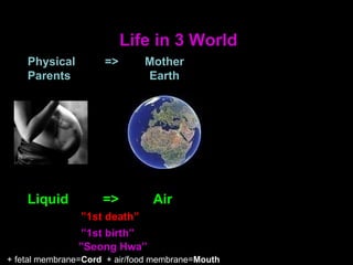 Life in 3 World
+ fetal membrane=Cord + air/food membrane=Mouth
Liquid => Air
”1st death”
”1st birth”
”Seong Hwa”
Physical => Mother
Parents Earth
 