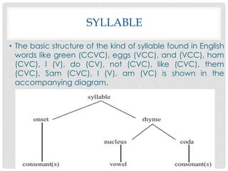 Introduction to Phonology | PDF