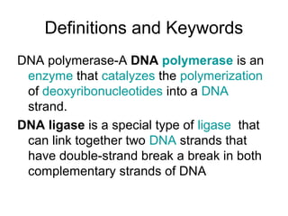 Definitions and Keywords
DNA polymerase-A DNA polymerase is an
enzyme that catalyzes the polymerization
of deoxyribonucleotides into a DNA
strand.
DNA ligase is a special type of ligase that
can link together two DNA strands that
have double-strand break a break in both
complementary strands of DNA
 