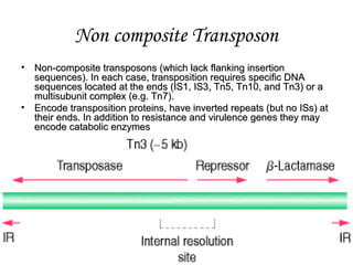 Non composite Transposon
• Non-composite transposons (which lack flanking insertionNon-composite transposons (which lack flanking insertion
sequences). In each case, transposition requires specific DNAsequences). In each case, transposition requires specific DNA
sequences located at the ends (IS1, IS3, Tn5, Tn10, and Tn3) or asequences located at the ends (IS1, IS3, Tn5, Tn10, and Tn3) or a
multisubunit complex (e.g. Tn7).multisubunit complex (e.g. Tn7).
• Encode transposition proteins, have inverted repeats (but no ISs) atEncode transposition proteins, have inverted repeats (but no ISs) at
their ends. In addition to resistance and virulence genes they maytheir ends. In addition to resistance and virulence genes they may
encode catabolic enzymesencode catabolic enzymes
 