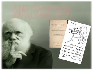 DARWIN, CANVIS I EVOLUCIONS 