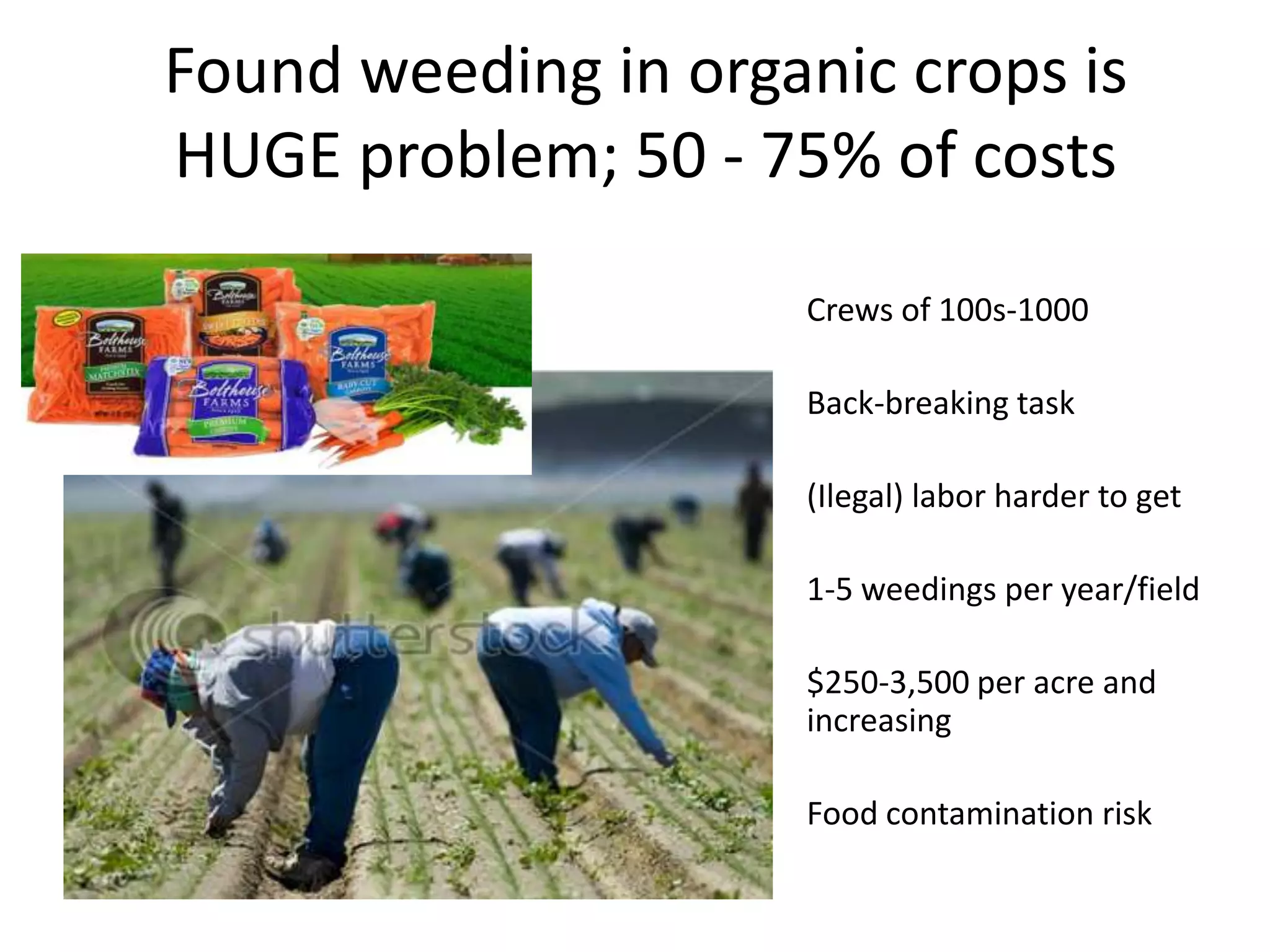 Found weeding in organic crops is HUGE problem; 50 - 75% of costsCrews of 100s-1000Back-breaking task(Ilegal) labor harder to get 1-5 weedings per year/field$250-3,500 per acre and increasingFood contamination risk