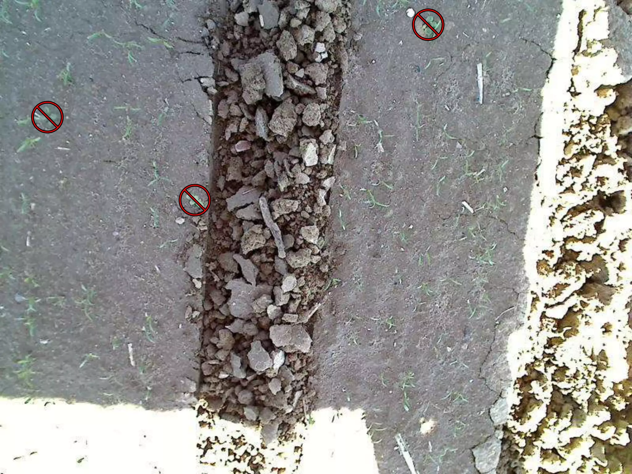 Demo and customer feedback