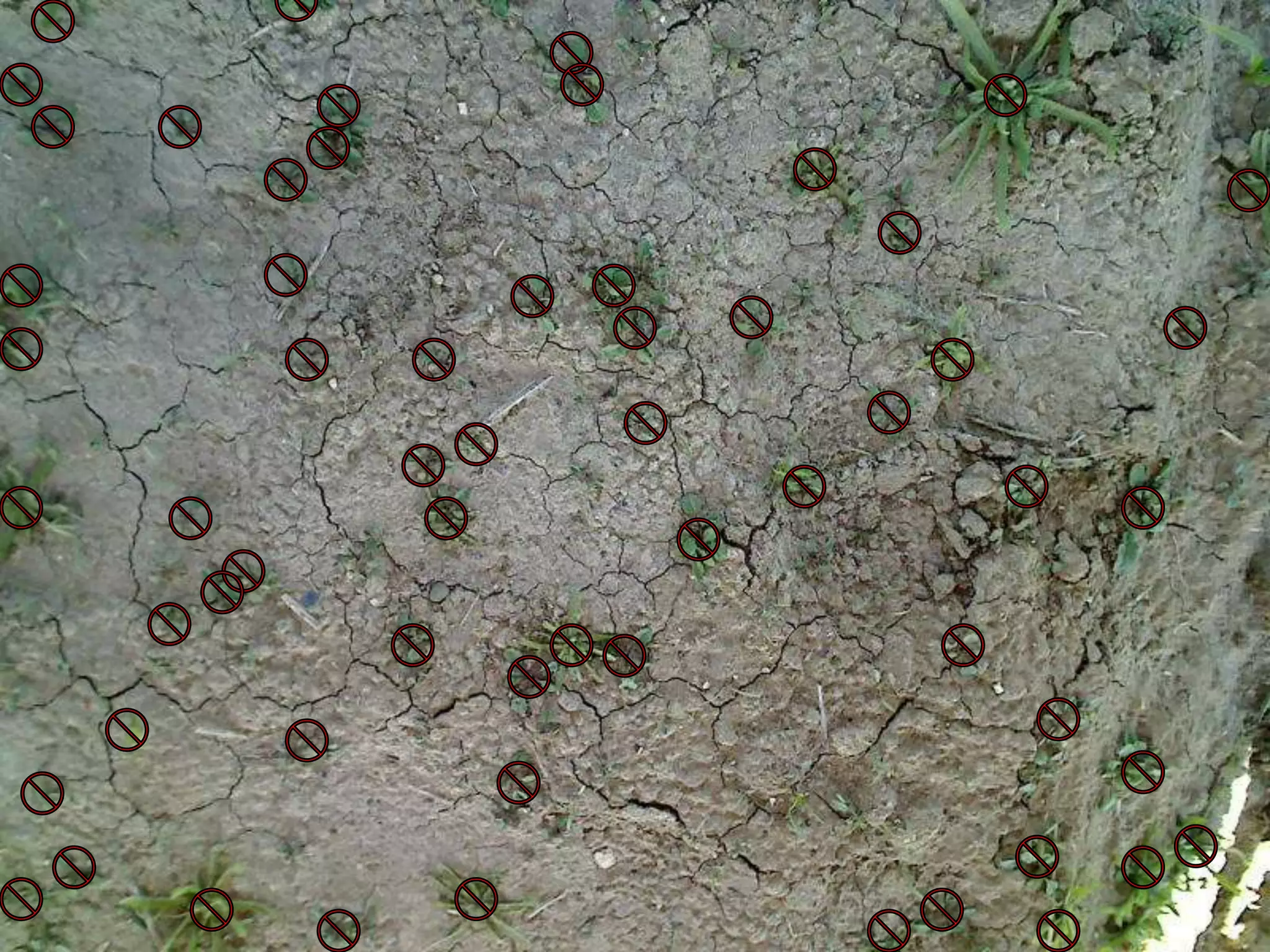 Farming conventions.