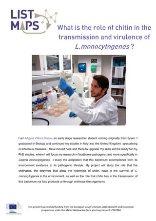 What is the role of chitin in the
transmission and virulence of
L.monocytogenes ?
This project has received funding from the European Union's Horizon 2020 research and innovation
programme under the Marie Sklodowska-Curie grant agreement n°641984
I am Miguel Villoria Recio, an early stage researcher student coming originally from Spain. I
graduated in Biology and continued my studies in Italy and the United Kingdom, specialising
in infectious diseases. I have moved here and there to upgrade my skills and be ready for my
PhD studies, where I will focus my research in foodborne pathogens, and more specifically in
Listeria monocytogenes. I study the adaptation that this bacterium accomplishes from its
environment existence to its pathogenic lifestyle. My project will study the role that the
chitinases, the enzymes that allow the hydrolysis of chitin, have in the survival of L.
monocytogenes in the environment, as well as the role that chitin has in the transmission of
this bacterium via food products or through chitinous-like organisms.
 