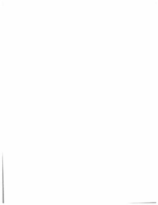 busines tax returneas.file