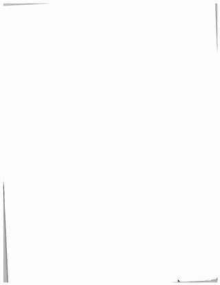 busines tax returneas.file