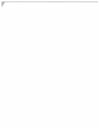 busines tax returneas.file