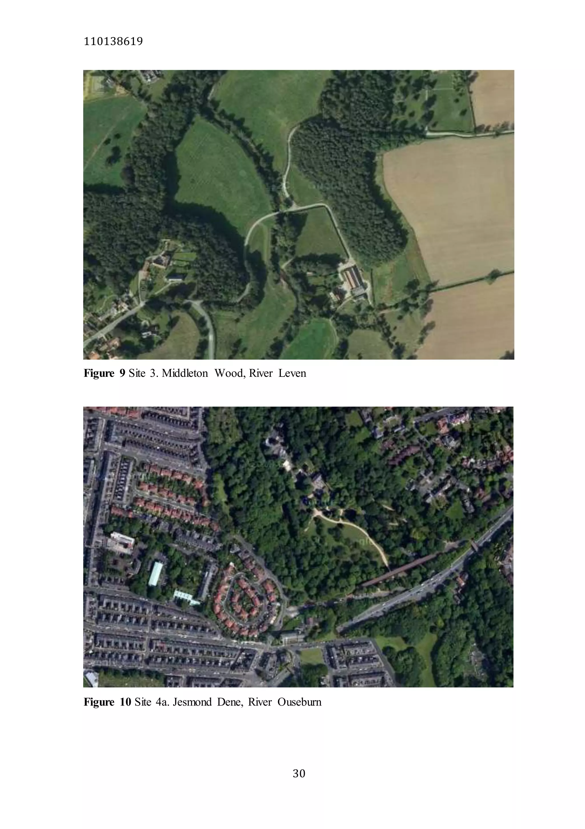 110138619
30
Figure 9 Site 3. Middleton Wood, River Leven
Figure 10 Site 4a. Jesmond Dene, River Ouseburn
 