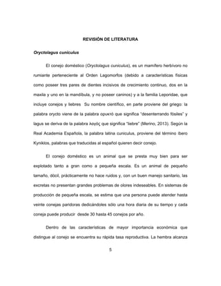5
REVISIÓN DE LITERATURA
Oryctolagus cuniculus
El conejo doméstico (Oryctolagus cuniculus), es un mamífero herbívoro no
rumiante perteneciente al Orden Lagomorfos (debido a características físicas
como poseer tres pares de dientes incisivos de crecimiento continuo, dos en la
maxila y uno en la mandíbula, y no poseer caninos) y a la familia Leporidae, que
incluye conejos y liebres Su nombre científico, en parte proviene del griego: la
palabra orycto viene de la palabra ορυκτό que significa “desenterrando fósiles” y
lagus se deriva de la palabra λαγός que significa “liebre” (Merino, 2013). Según la
Real Academia Española, la palabra latina cuniculus, proviene del término íbero
Kyniklos, palabras que traducidas al español quieren decir conejo.
El conejo doméstico es un animal que se presta muy bien para ser
explotado tanto a gran como a pequeña escala. Es un animal de pequeño
tamaño, dócil, prácticamente no hace ruidos y, con un buen manejo sanitario, las
excretas no presentan grandes problemas de olores indeseables. En sistemas de
producción de pequeña escala, se estima que una persona puede atender hasta
veinte conejas paridoras dedicándoles sólo una hora diaria de su tiempo y cada
coneja puede producir desde 30 hasta 45 conejos por año.
Dentro de las características de mayor importancia económica que
distingue al conejo se encuentra su rápida tasa reproductiva. La hembra alcanza
 