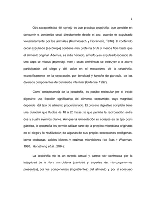 ! 7
Otra característica del conejo es que practica cecotrofia, que consiste en
consumir el contenido cecal directamente desde el ano, cuando es expulsado
voluntariamente por los animales (Ruchebusch y Fioramonti, 1976). El contenido
cecal expulsado (cecótropo) contiene más proteína bruta y menos fibra bruta que
el alimento original. Además, es más húmedo, amorfo y es expulsado rodeado de
una capa de mucus (Björnhag, 1981). Estas diferencias se atribuyen a la activa
participación del ciego y del colon en el mecanismo de la cecotrofia,
específicamente en la separación, por densidad y tamaño de partícula, de los
diversos componentes del contenido intestinal (Gidenne, 1997).
Como consecuencia de la cecotrofia, es posible recircular por el tracto
digestivo una fracción significativa del alimento consumido, cuya magnitud
depende del tipo de alimento proporcionado. El proceso digestivo completo tiene
una duración que fluctúa de 18 a 20 horas, lo que permite la recirculación entre
dos y cuatro eventos diarios. Aunque la fermentación en conejos es de tipo post-
gástrica, la cecotrofia les permite utilizar parte de la proteína microbiana originada
en el ciego y la reutilización de algunas de sus propias secreciones endógenas,
como proteasas, ácidos biliares y enzimas microbianas (de Blas y Wiseman,
1998; Hongthong et al., 2004).
La cecotrofia no es un evento casual y parece ser controlada por la
integridad de la flora microbiana (cantidad y especies de microorganismos
presentes), por los componentes (ingredientes) del alimento y por el consumo
 