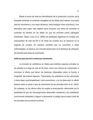 ! 11
Desde el punto de vista de intensificación de la producción cunícola, sería
deseable aumentar el contenido energético de las dietas para obtener una mejor
tasa de crecimiento y una mejor eficiencia, tanto biológica como económica. Una
alternativa para lograr este objetivo sería encontrar una forma de aumentar el
contenido de almidón en las dietas sin que los animales sufran patologías
intestinales. Según Licois et al. (2000) las patologías digestivas en conejos son
responsables de más del 60 % de todas las muertes que se observan en la
engorda de conejos. En aquellos animales que no sucumben a estas
enfermedades, se observa una marcada disminución en la eficiencia de utilización
del alimento para fines de crecimiento.
Aditivos para prevenir trastornos intestinales
La inclusión de antibióticos en dietas para distintas especies animales se
ha utilizado a lo largo de más de 50 años, como una manera de contrarrestar o
minimizar el efecto que tienen las bacterias indeseables sobre la función e
integridad del sistema digestivo. Típicamente, los antibióticos se han adicionado
a dosis bajas (sub-terapéuticas), como preventivos, y se ha observado un efecto
positivo sobre la salud y tasa de crecimiento de los animales (Kim et al., 2005).
Sin embargo, en los últimos años ha surgido la preocupación relacionada con la
posibilidad de que los microorganismos desarrollen resistencia a los antibióticos
comúnmente empleados y lleguen a representar un peligro para la salud, tanto de
los animales como la de los humanos.
 