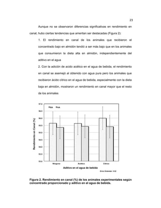 ! 23
Aunque no se observaron diferencias significativas en rendimiento en
canal, hubo ciertas tendencias que ameritan ser destacadas (Figura 2):
1. El rendimiento en canal de los animales que recibieron el
concentrado bajo en almidón tendió a ser más bajo que en los animales
que consumieron la dieta alta en almidón, independientemente del
aditivo en el agua
2. Con la adición de acido acético en el agua de bebida, el rendimiento
en canal se asemejó al obtenido con agua pura pero los animales que
recibieron ácido cítrico en el agua de bebida, especialmente con la dieta
baja en almidón, mostraron un rendimiento en canal mayor que el resto
de los animales
Figura 2. Rendimiento en canal (%) de los animales experimentales según
concentrado proporcionado y aditivo en el agua de bebida.
 