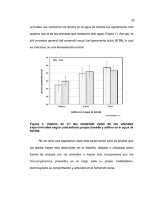 ! 33
animales que recibieron los ácidos en el agua de bebida fue ligeramente más
alcalino que el de los animales que recibieron solo agua (Figura 7). Aún así, el
pH promedio general del contenido cecal fue ligeramente ácido (6.16), lo cual
es indicativo de una fermentación normal.
Figura 7. Valores de pH del contenido cecal de los animales
experimentales según concentrado proporcionado y aditivo en el agua de
bebida.
No se tiene una explicación para esta observación pero es posible que
los ácidos hayan sido absorbidos en el intestino delgado y utilizados como
fuente de energía por los animales o hayan sido incorporados por los
microorganismos presentes en el ciego para su propio metabolismo,
disminuyendo su concentración y actividad en el contenido cecal.
 