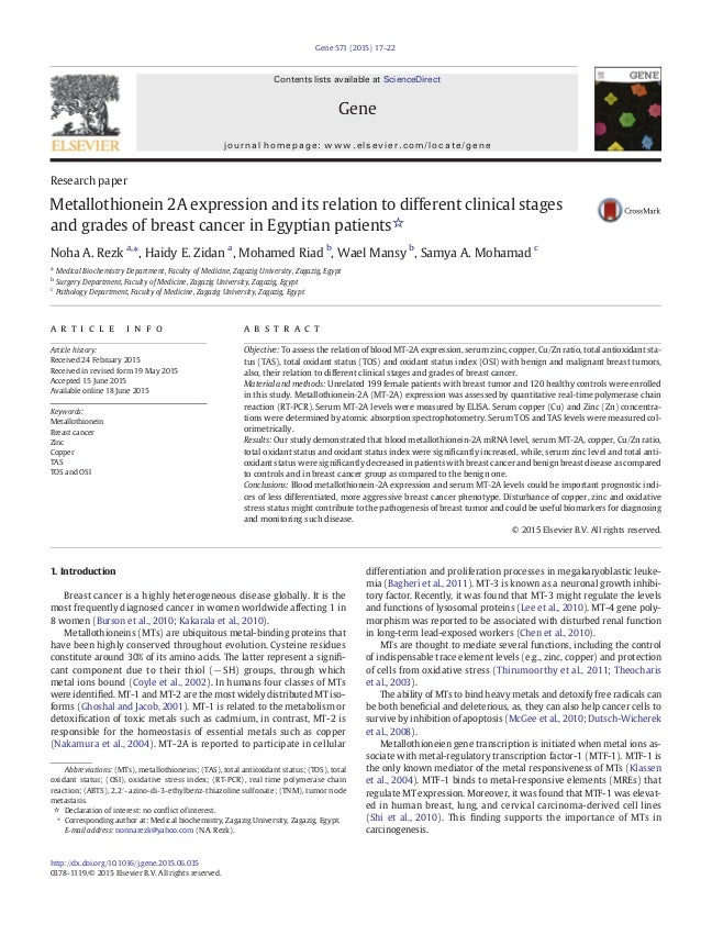 history of ideas essay volume 2018