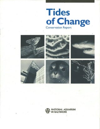 Andrews 1995 Tides of Change Conservation Report