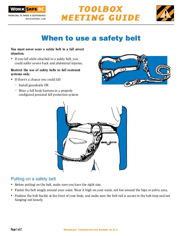 safety belts essay