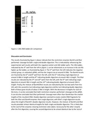 Examples of Qualifying Techniques- Affinity Chromatography, SDS-Page ...