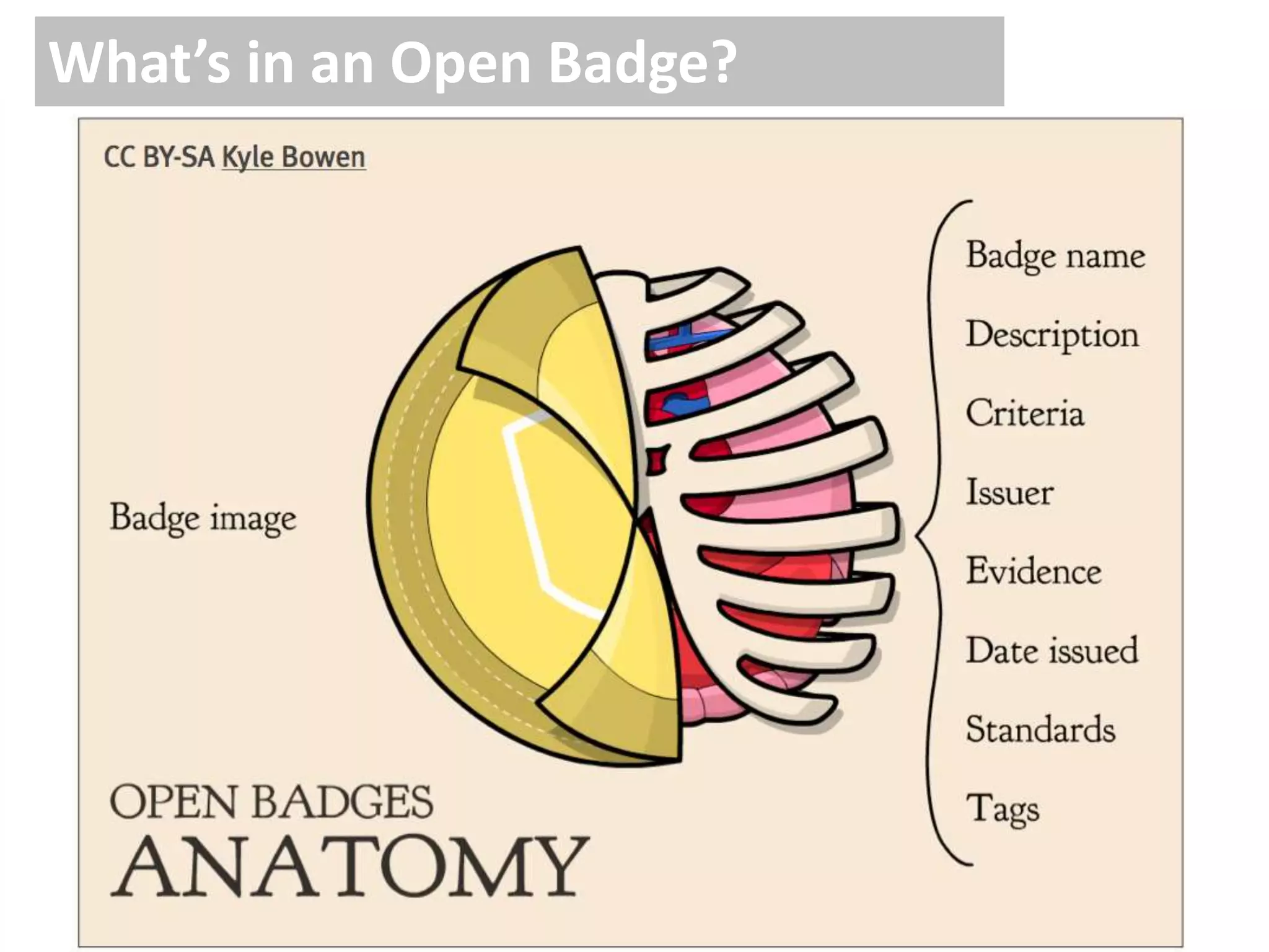 What’s in an Open Badge?
 