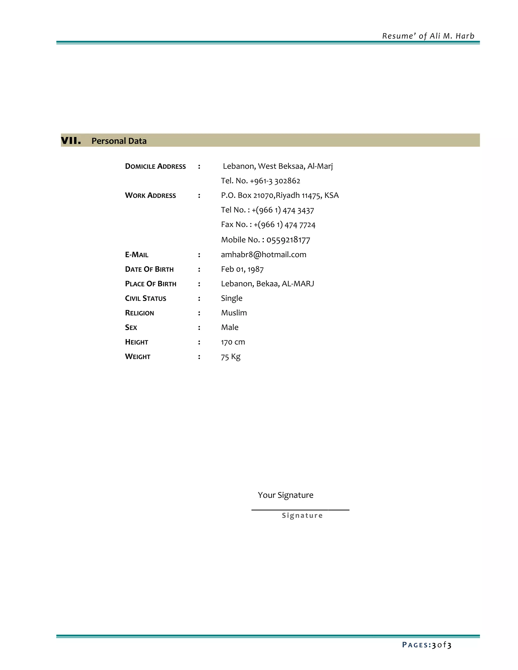 ali-harb-cv-pdf