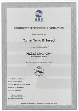 Tamer Yehai CV REV4
