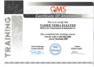 Tamer Yehai CV REV4