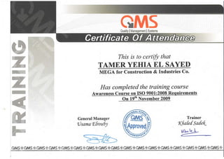 Tamer Yehai CV REV4