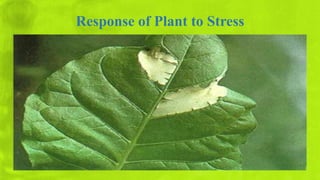Response of Plant to Stress
 