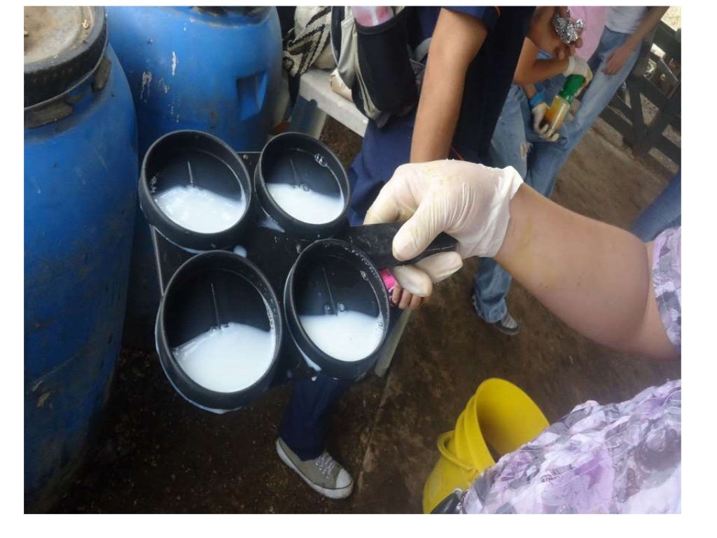 Animal Sample Collection