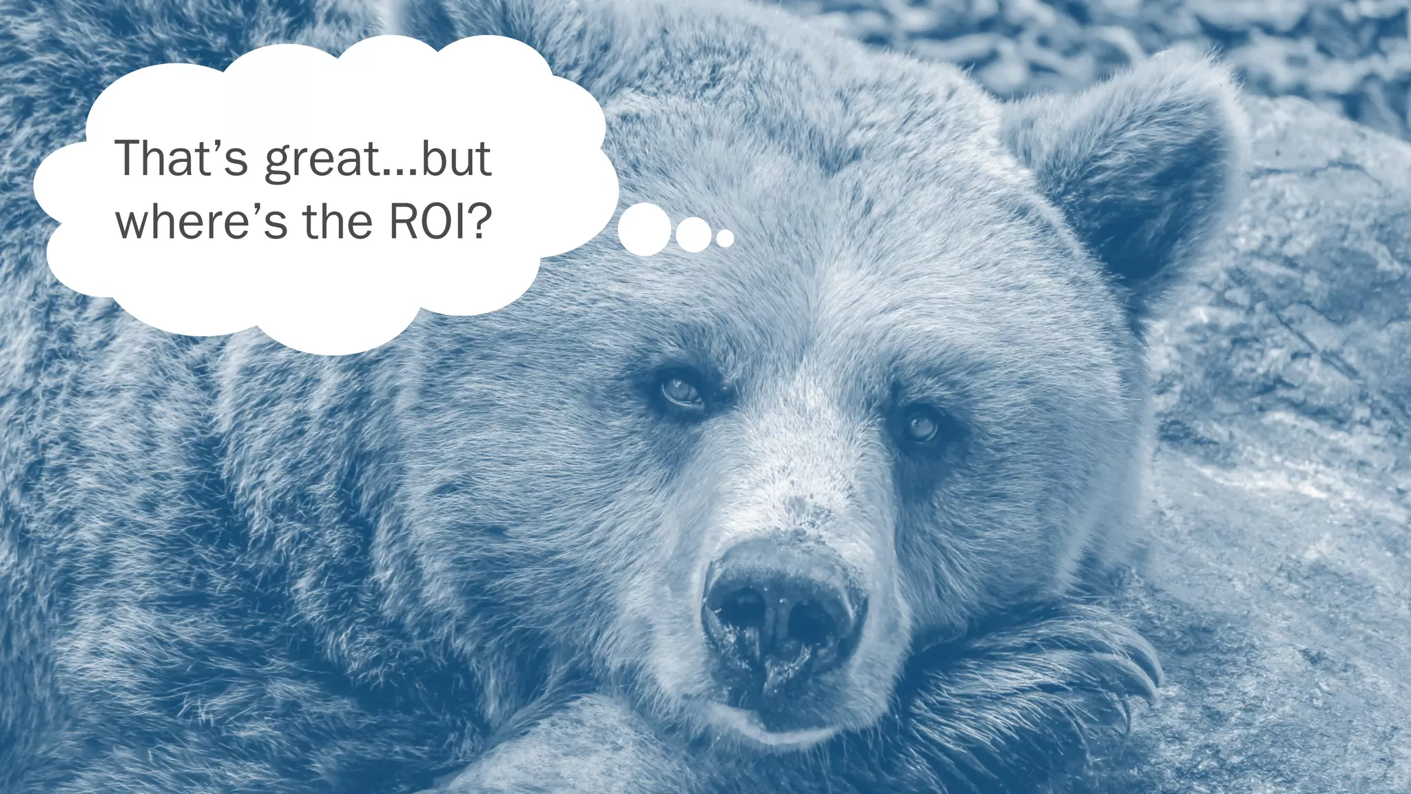 That’s great…but
where’s the ROI?
 