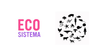 ECOSISTEMA
 
