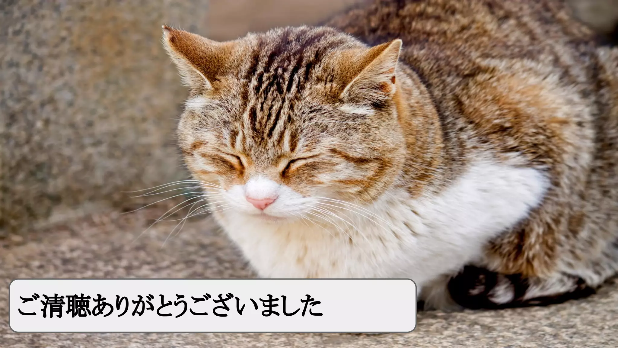 ご清聴ありがとうございました

 